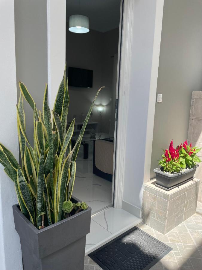 Aiginetan Apartments Aegina Exteriér fotografie